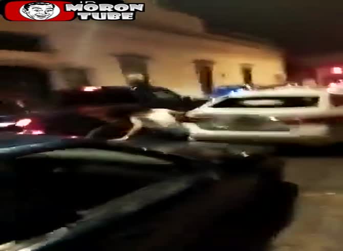 Video :Bowling in the street is being played by a motorist